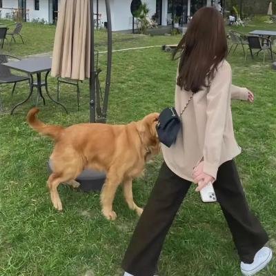 苏珊娜的故事